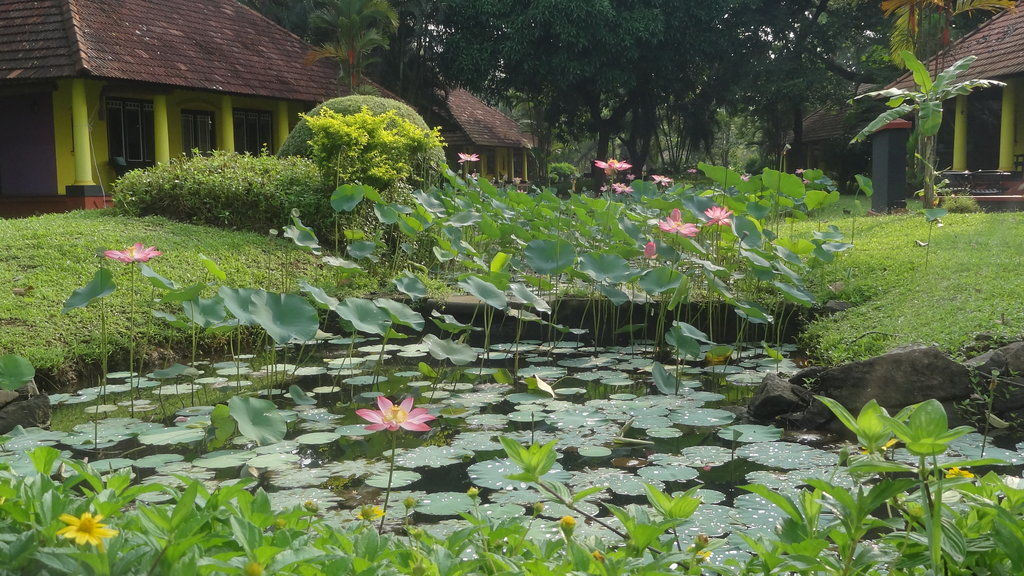 Taj Kumarakom Resort&Spa Kerala Bagian luar foto