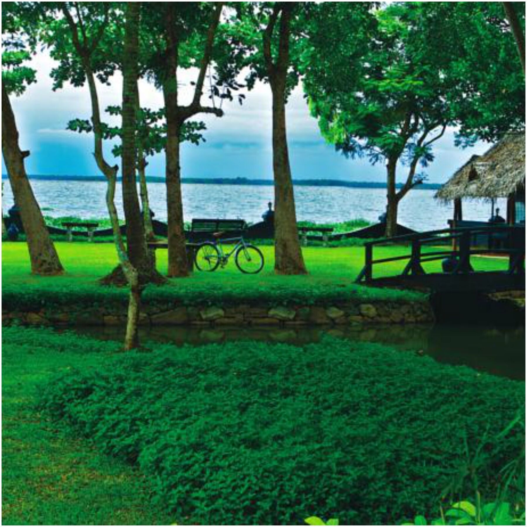 Taj Kumarakom Resort&Spa Kerala Bagian luar foto